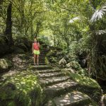 Wat te doen in Taipei - Trekken in het bos van Pin Xi met Tour Me Away