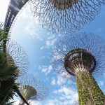 Wat te doen in Singapore: supertrees in Gardens by the bay