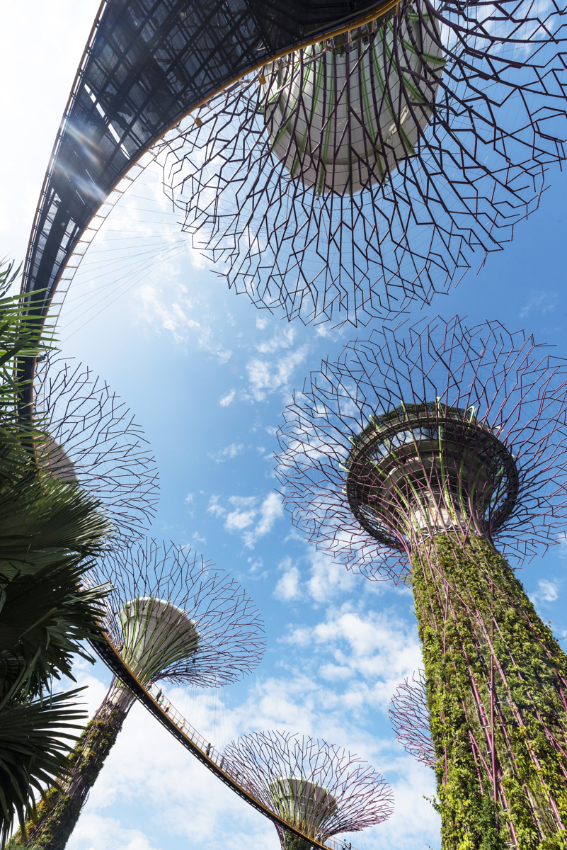 Wat te doen in Singapore: supertrees in Gardens by the bay