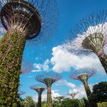 Reistips Singapore - Gardens by the Bay