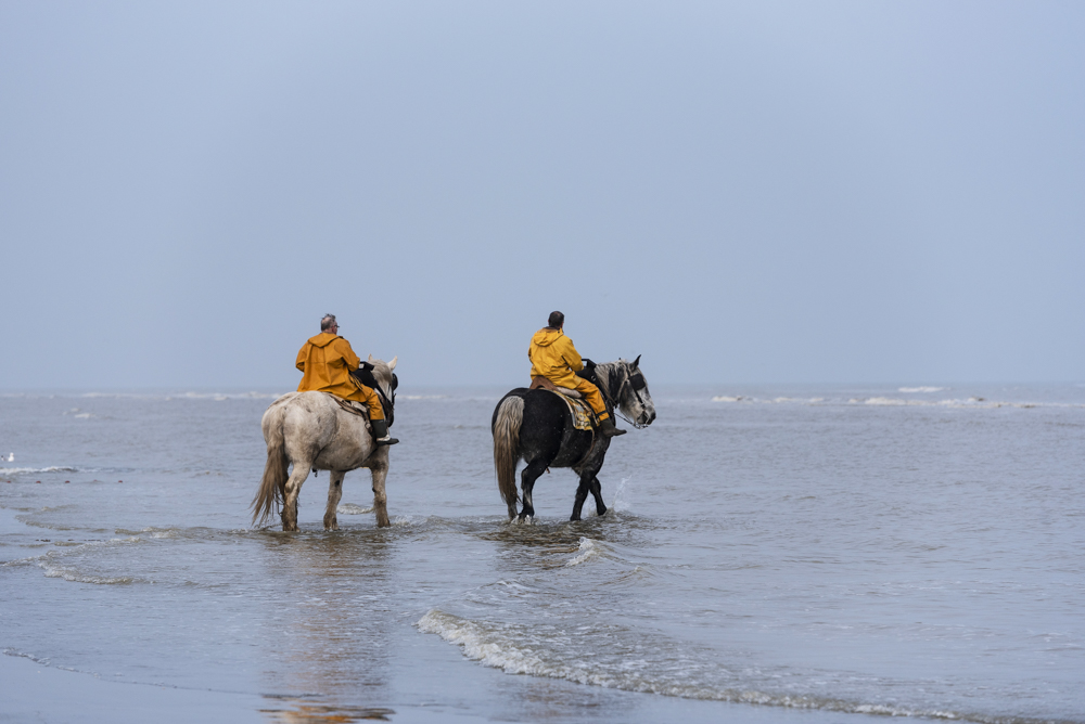 Wat te doen in Koksijde - Garnaalvissers te Paard in Oostduinkerke