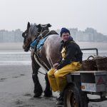 Wat te doen in Koksijde garnaalvisser te paard