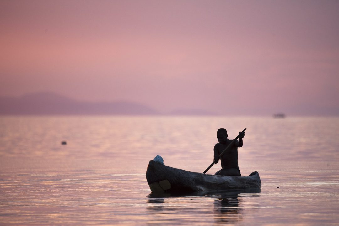Visser bij Lake Malawi
