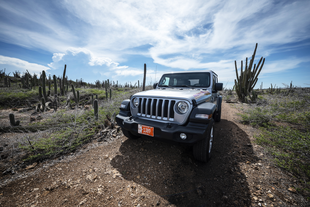 Wat te doen in Aruba: Jeep in Ceru Colorado