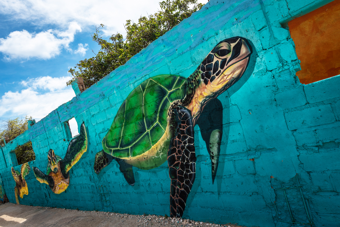 Reisgids Aruba - San Nicolas Street Art