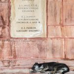 Straathond slaapt tegen het Parlement in New Delhi