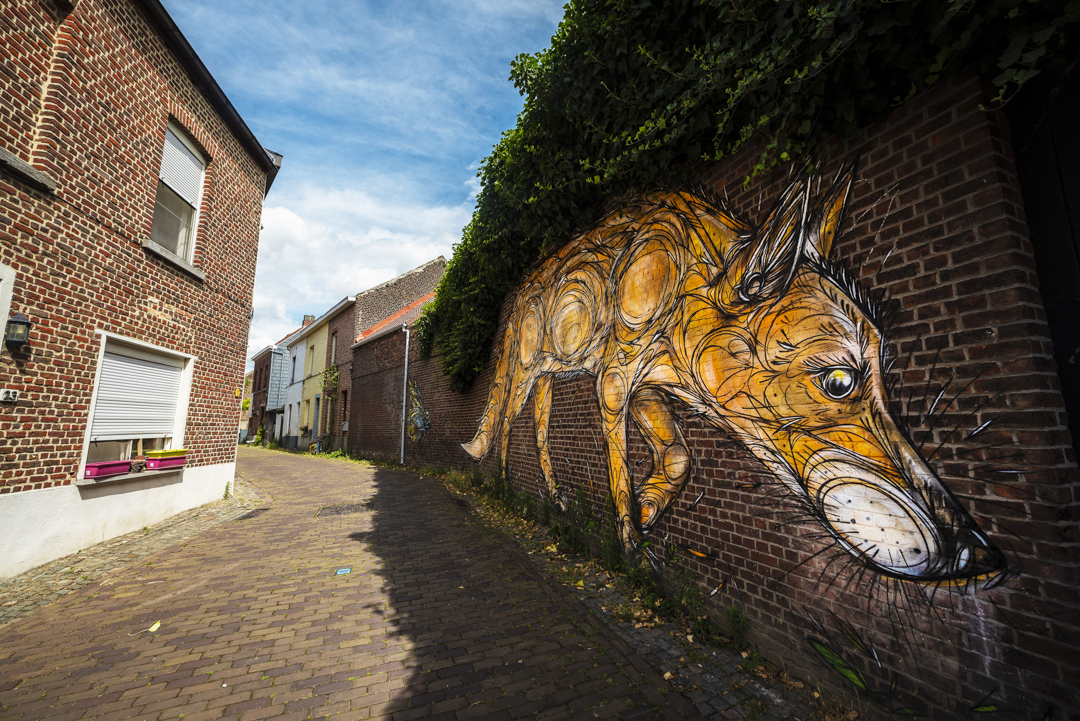 Weekend in Leuven - Street Art Vos