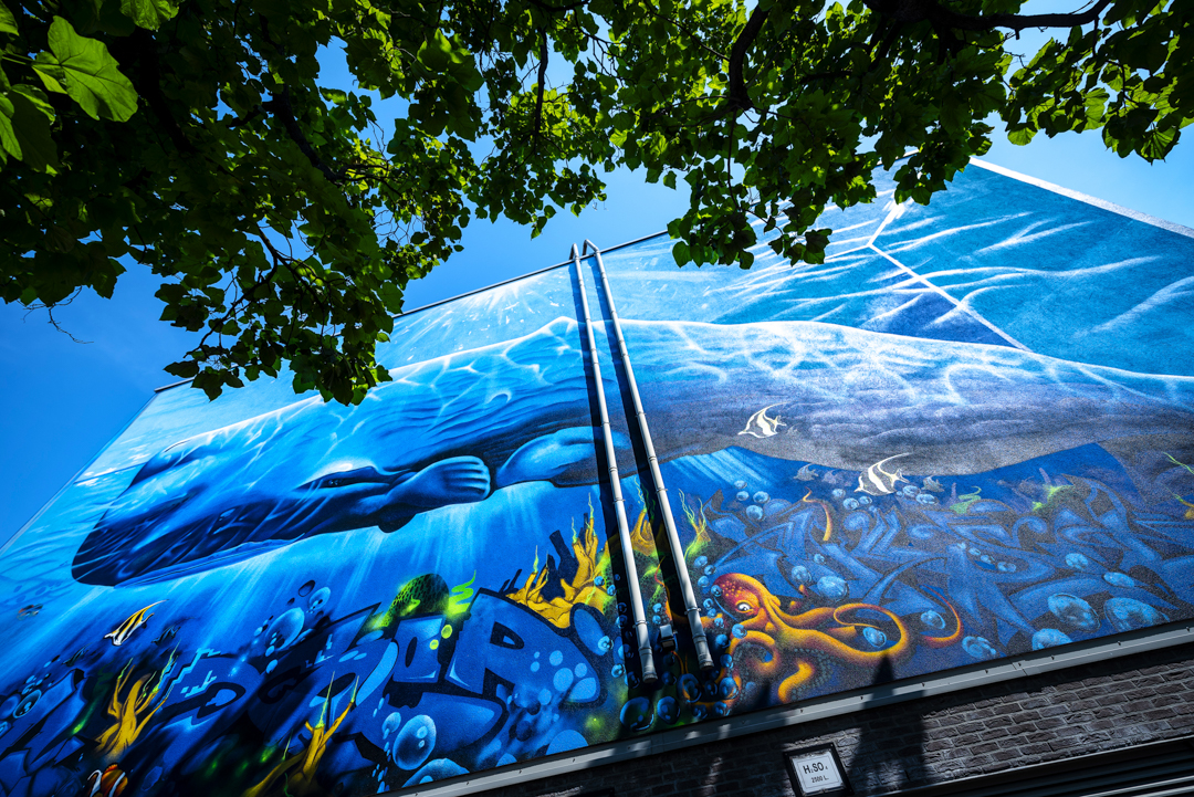 Street Art in Antwerpen - Moby Dick by Rise One