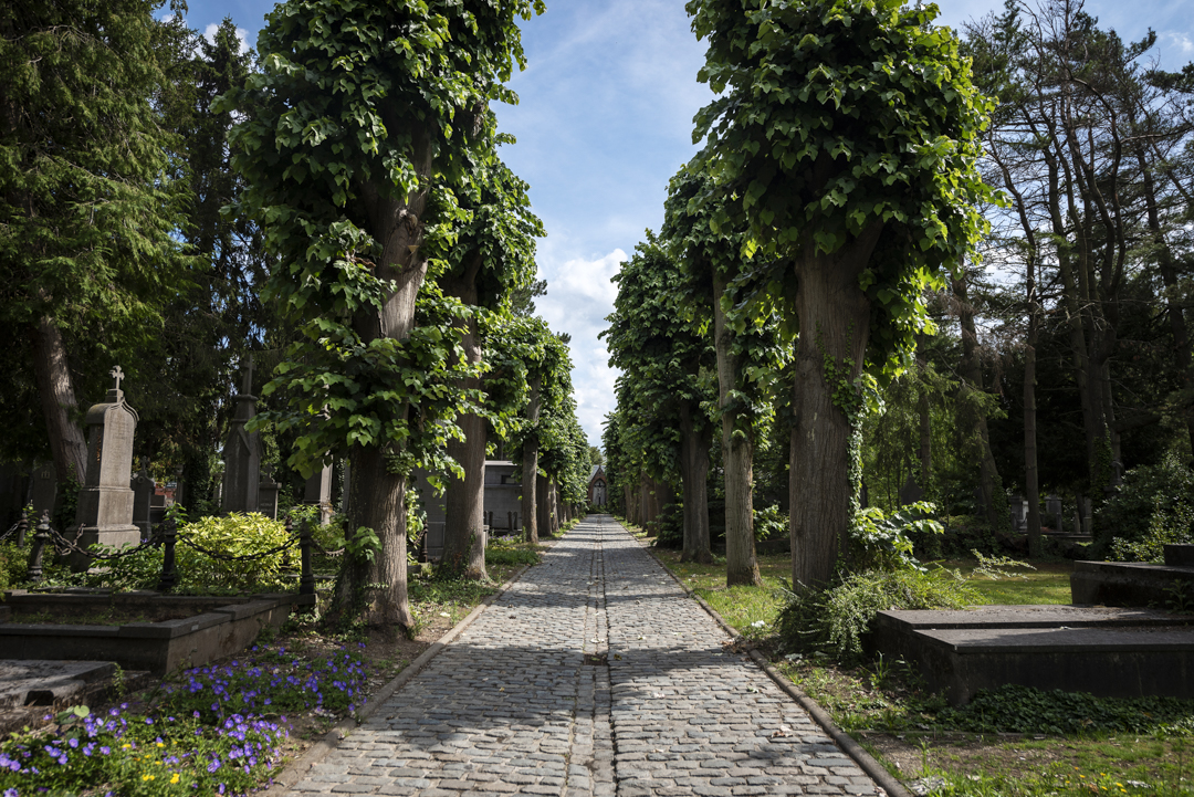 Wat te doen in Roeselare - Oude Stedelijke Begraafplaats