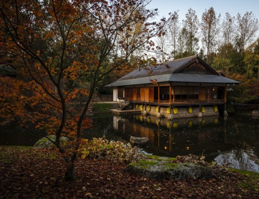 Wat te doen in Hasselt - Japanse Tuin herfst