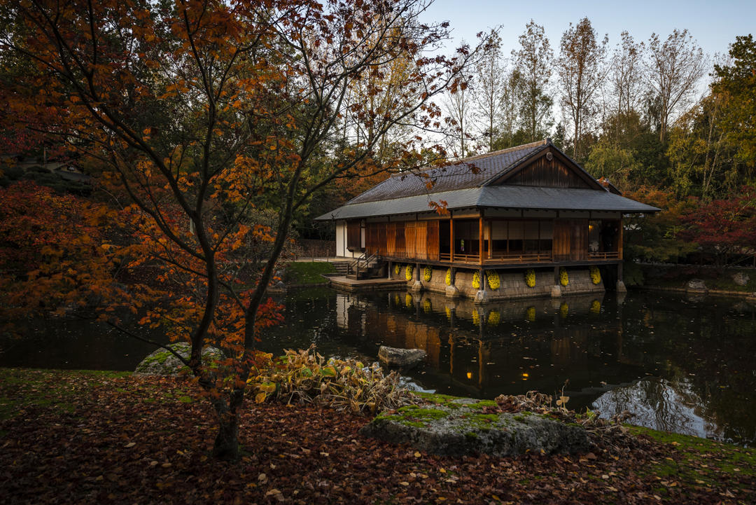 Wat te doen in Hasselt - Japanse Tuin herfst