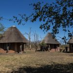 Wat te doen in Swaziland - Hlane Royal National Park