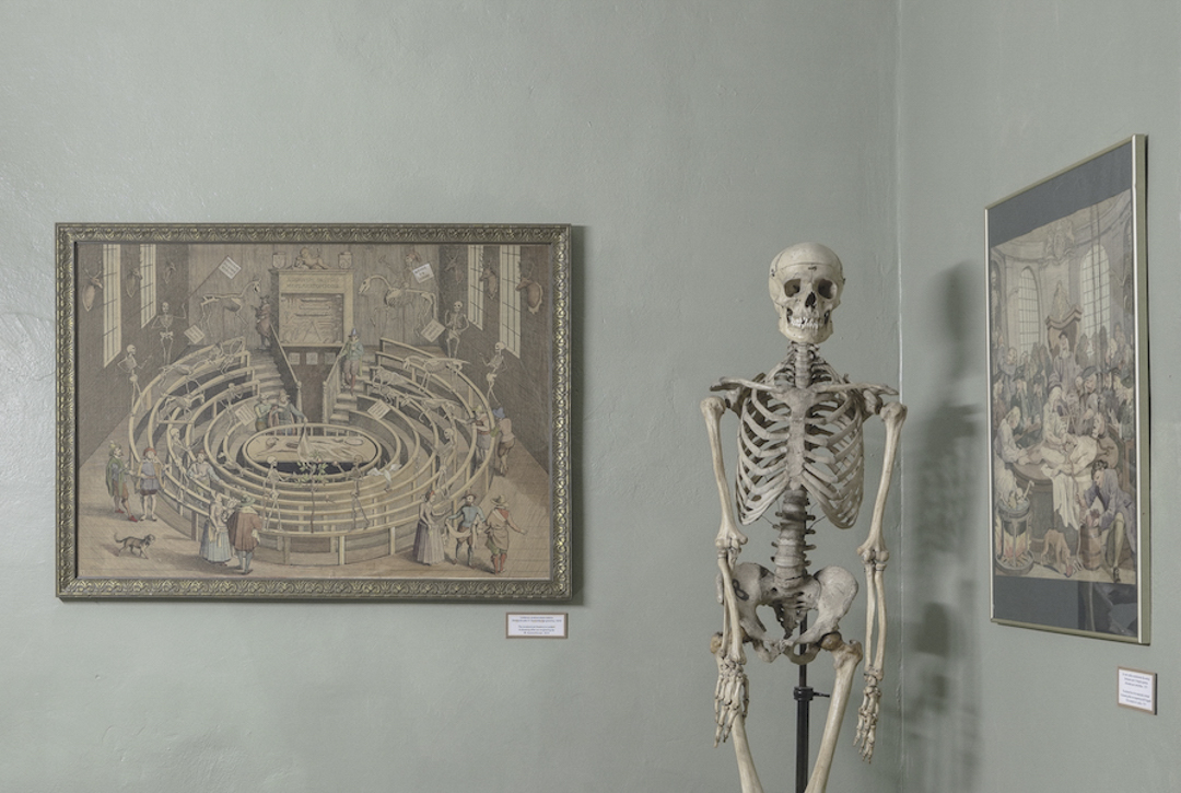 Wat te doen in Riga - Museum for the History of Medicine