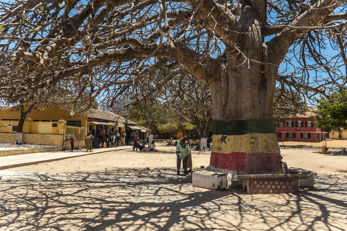 Wat te doen op Ile de Gorée - Baobab