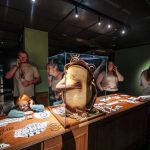 Musea in Antwerpen - Chocolate Nation