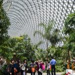 Shanghai Bezienswaardigheden - Botanische Tuin